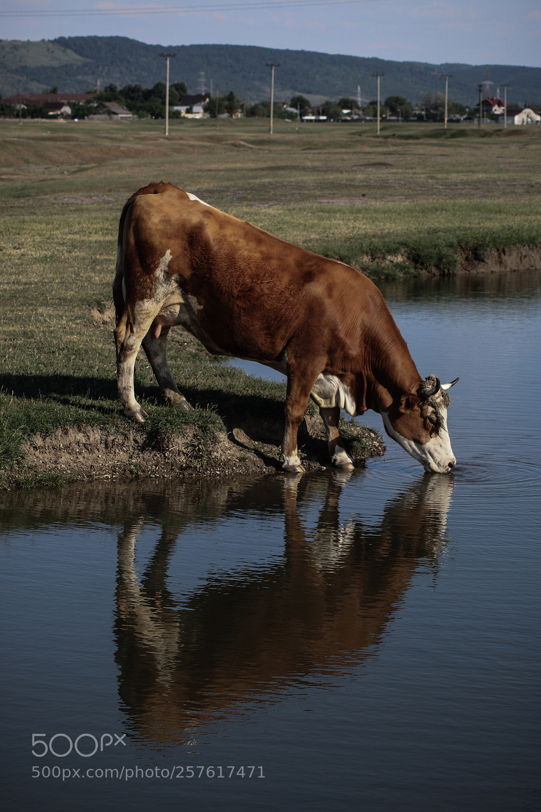 Canon EOS 70D sample photo. Untitled photography