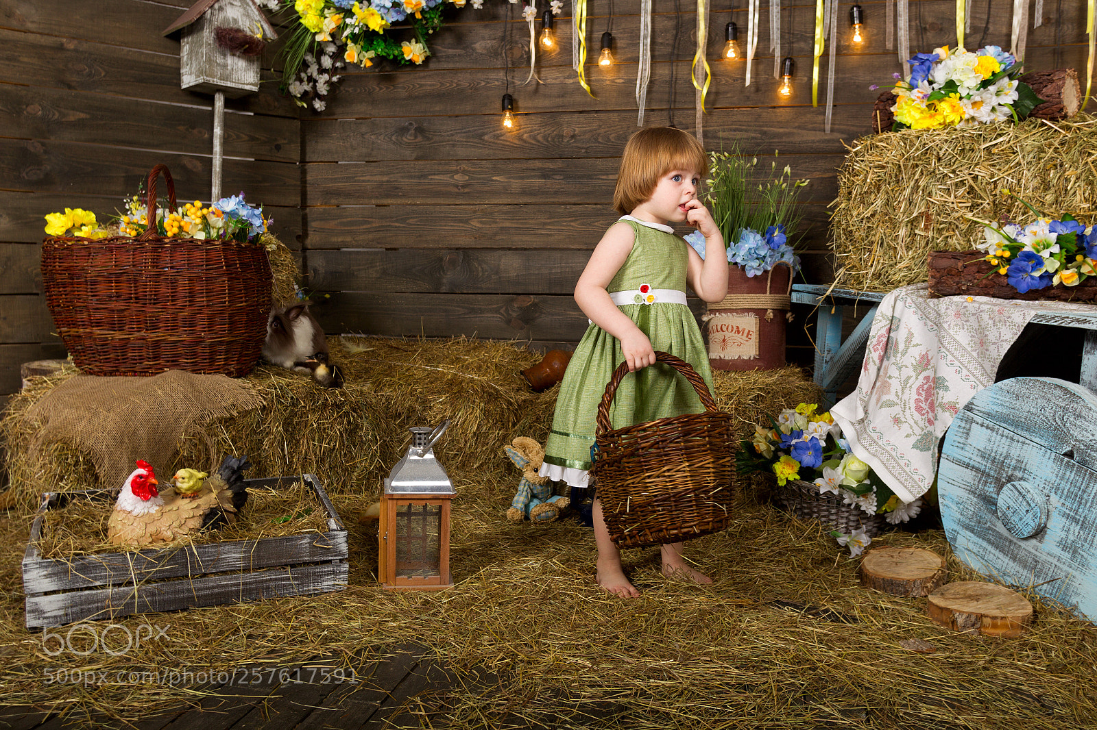 Canon EOS-1D Mark IV sample photo. Oleg photography