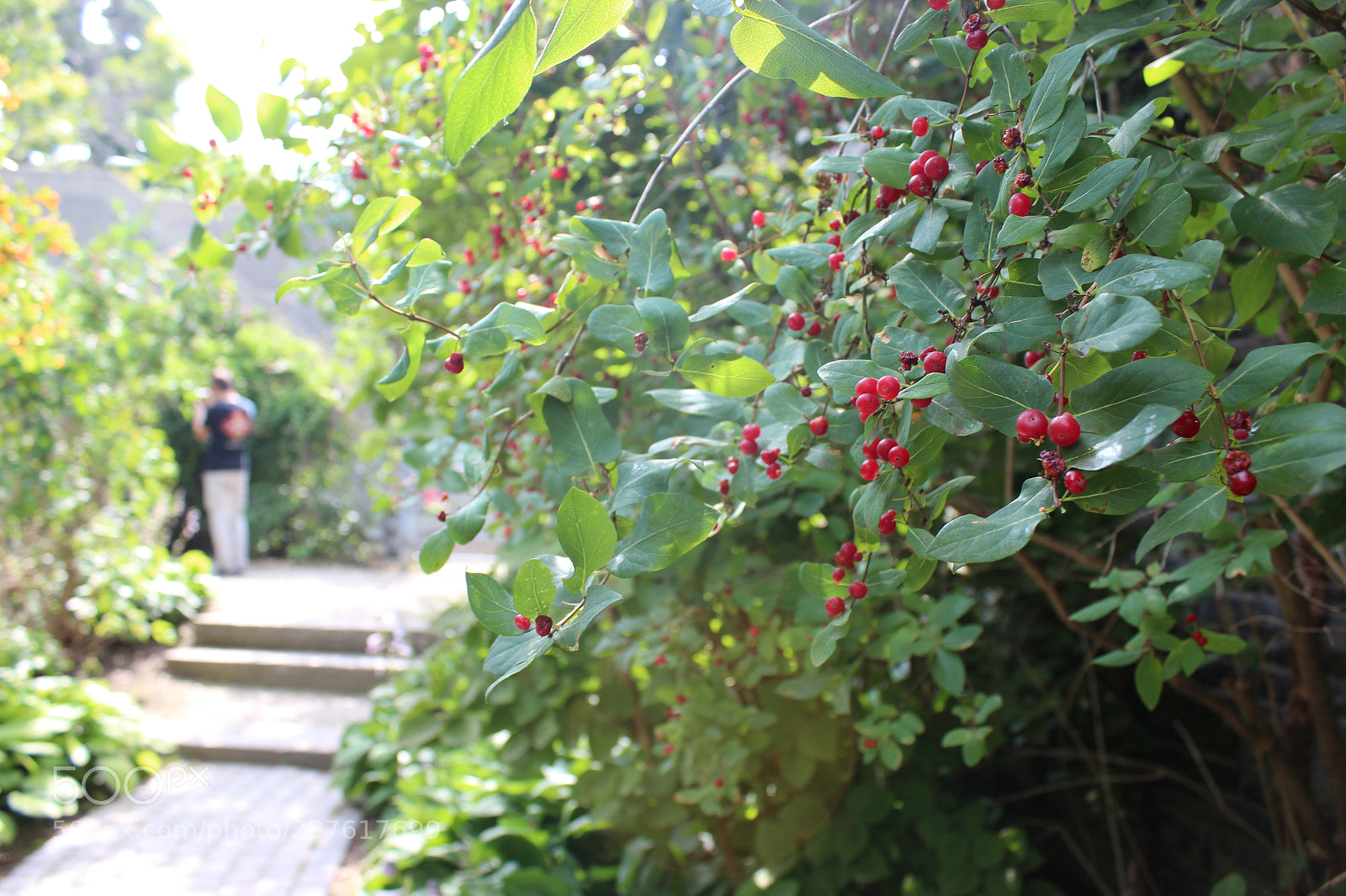 Canon EOS 600D (Rebel EOS T3i / EOS Kiss X5) sample photo. Fruits of your labour photography