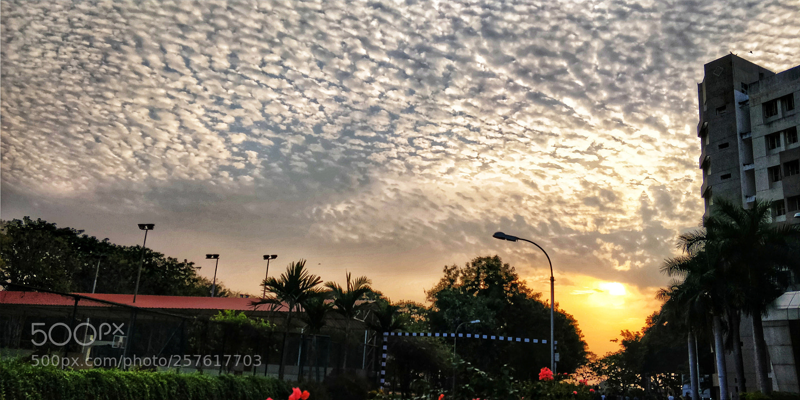 OnePlus 5T sample photo. Evening sky photography