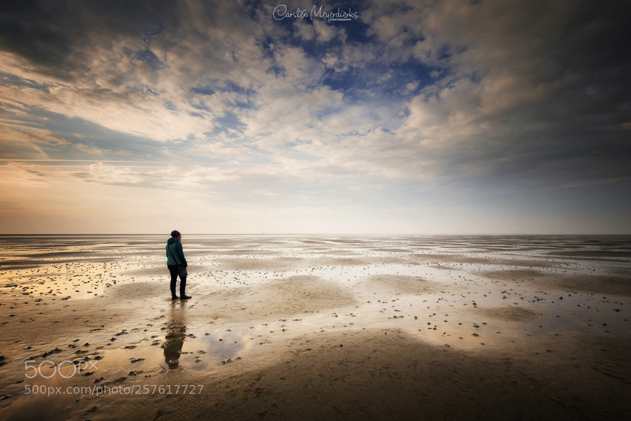 Canon EOS 6D sample photo. Beautiful wadden sea photography