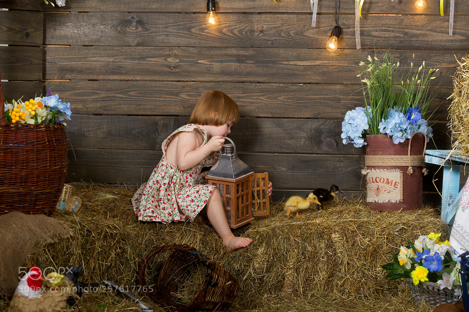 Canon EOS-1D Mark IV sample photo. Oleg photography