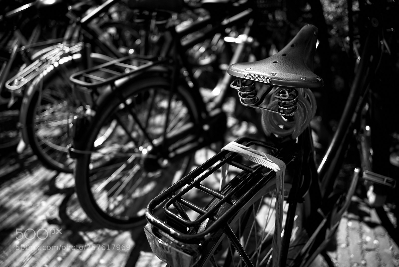 Leica M (Typ 240) sample photo. Hallmark photography