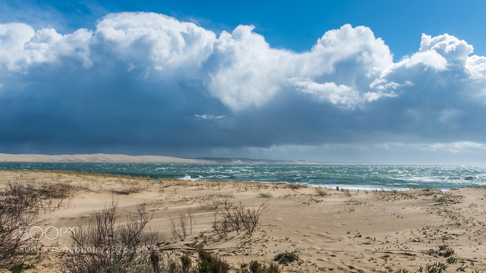 Nikon D750 sample photo. Dune du pilat photography