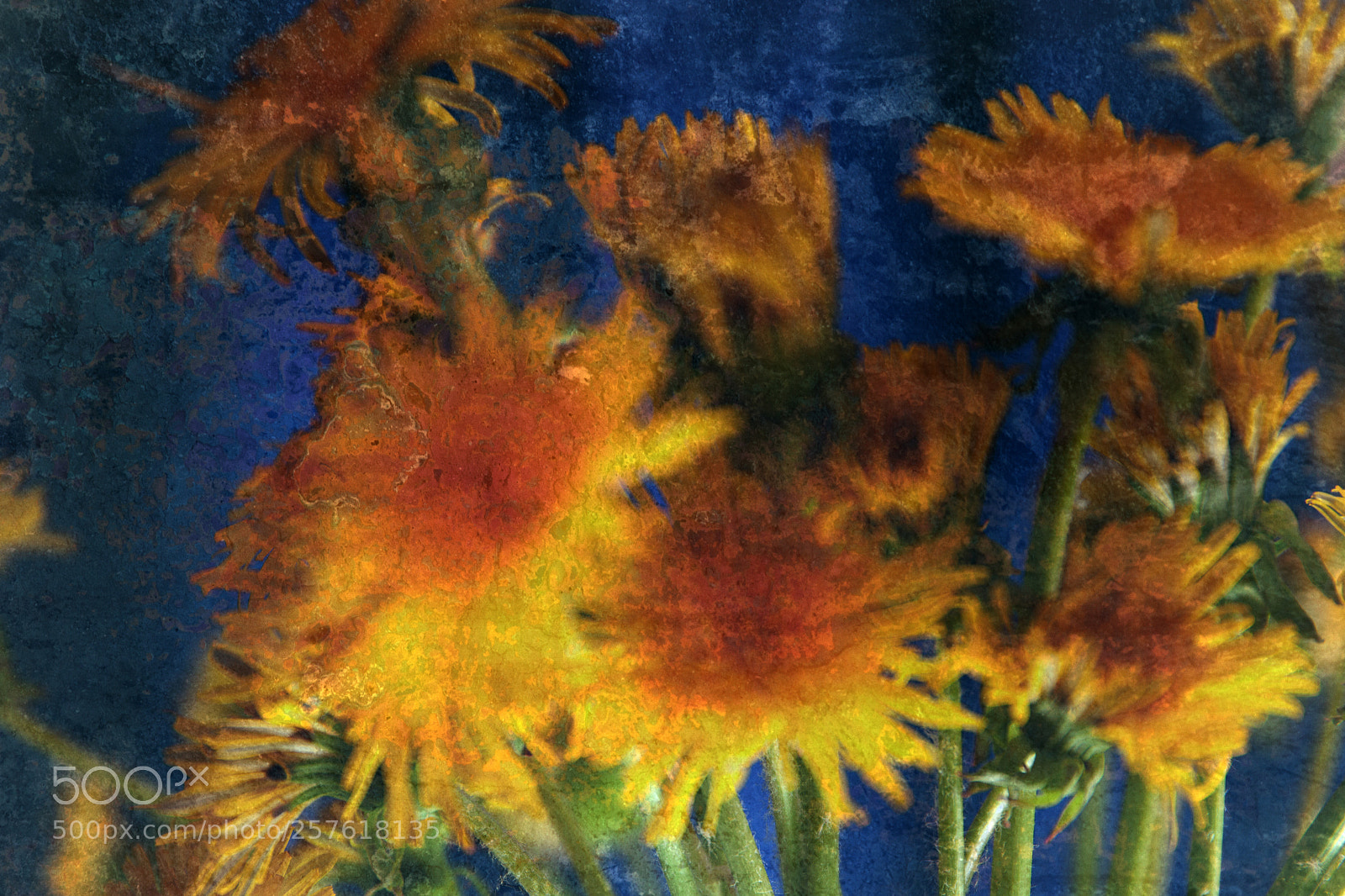 Canon EOS 5D Mark II sample photo. Yellow on blue photography