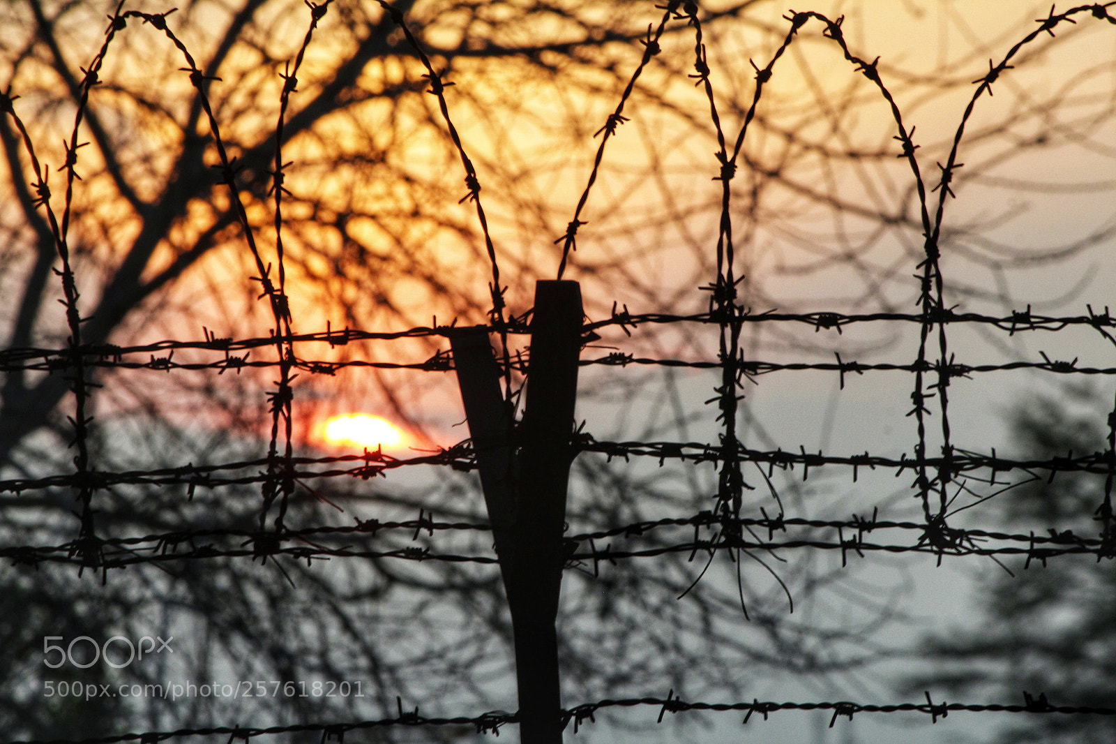 Canon EOS 1200D (EOS Rebel T5 / EOS Kiss X70 / EOS Hi) sample photo. Last hurdle photography