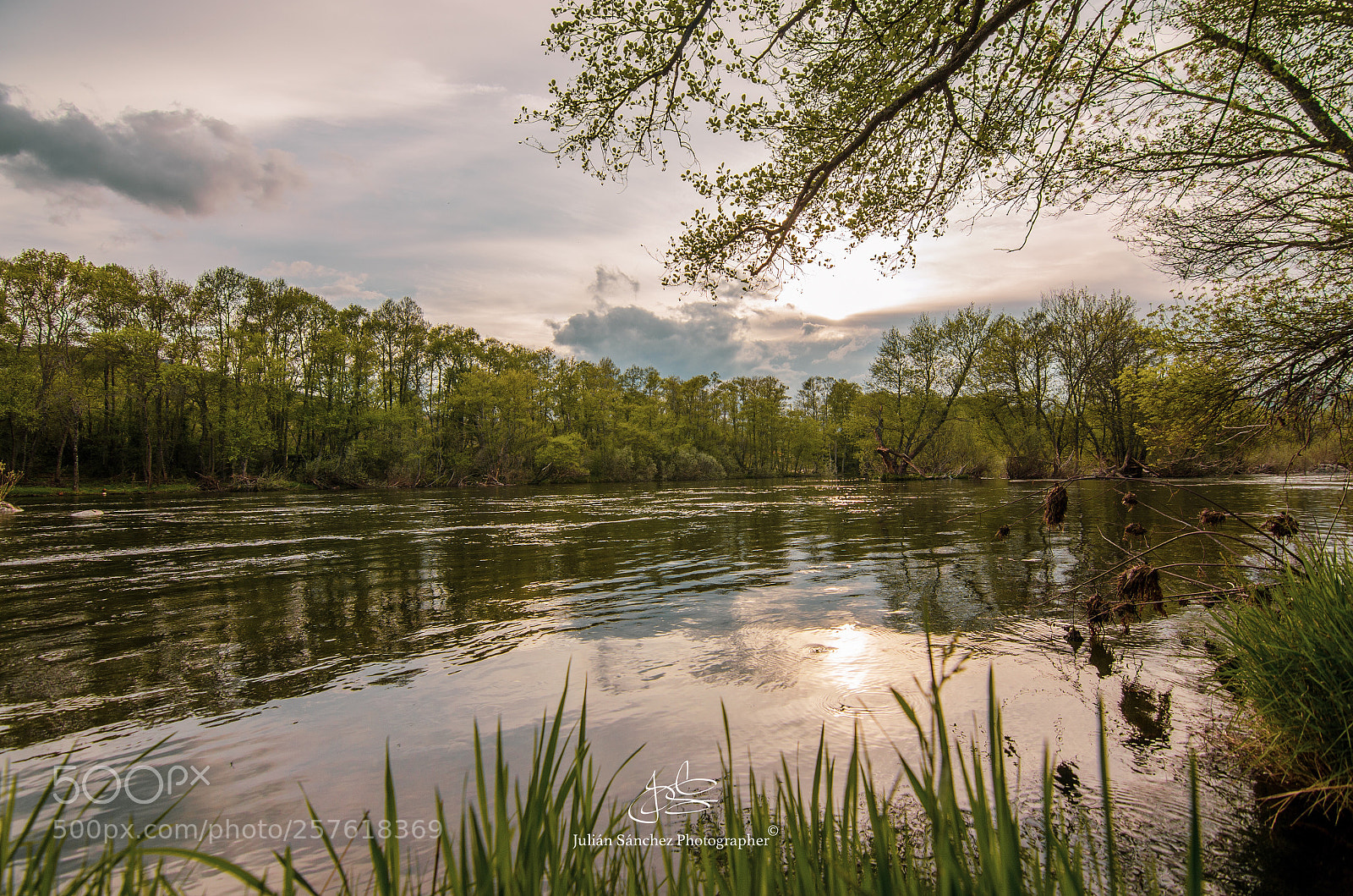 Nikon D5100 sample photo. Calm and peaceful... photography