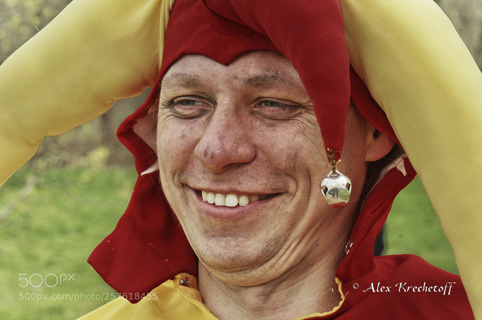 Nikon D300 sample photo. A harlequin photography