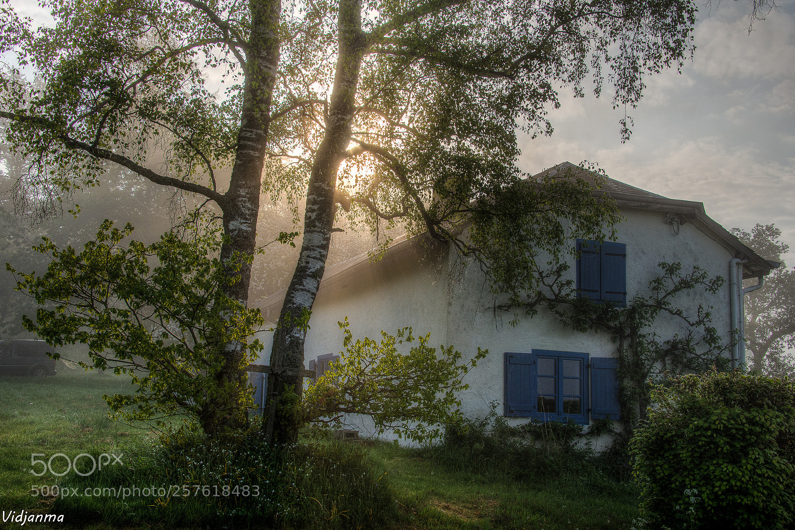Nikon D610 sample photo. Blue sunrise photography