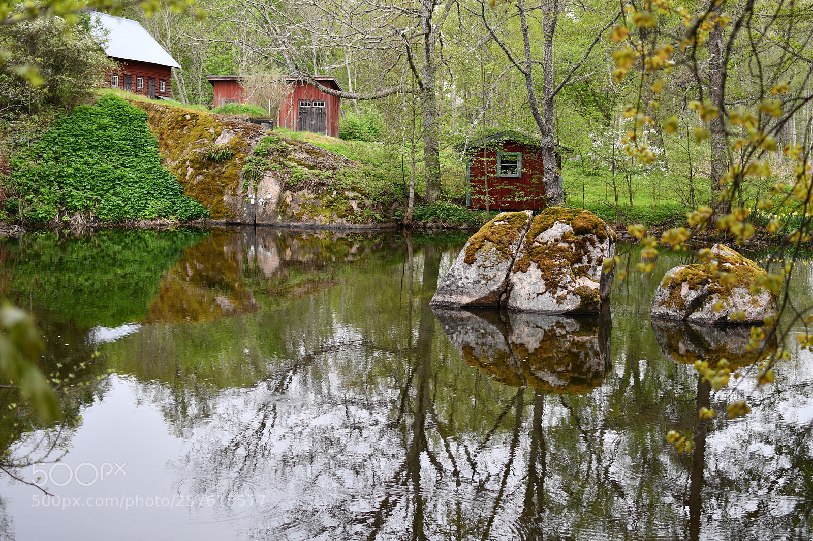 Nikon D7500 sample photo. Rain is coming photography