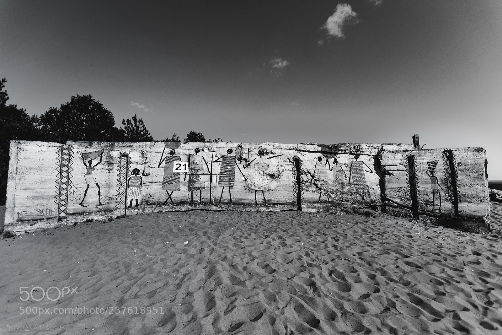 Nikon D500 sample photo. Bledowska desert, poland photography