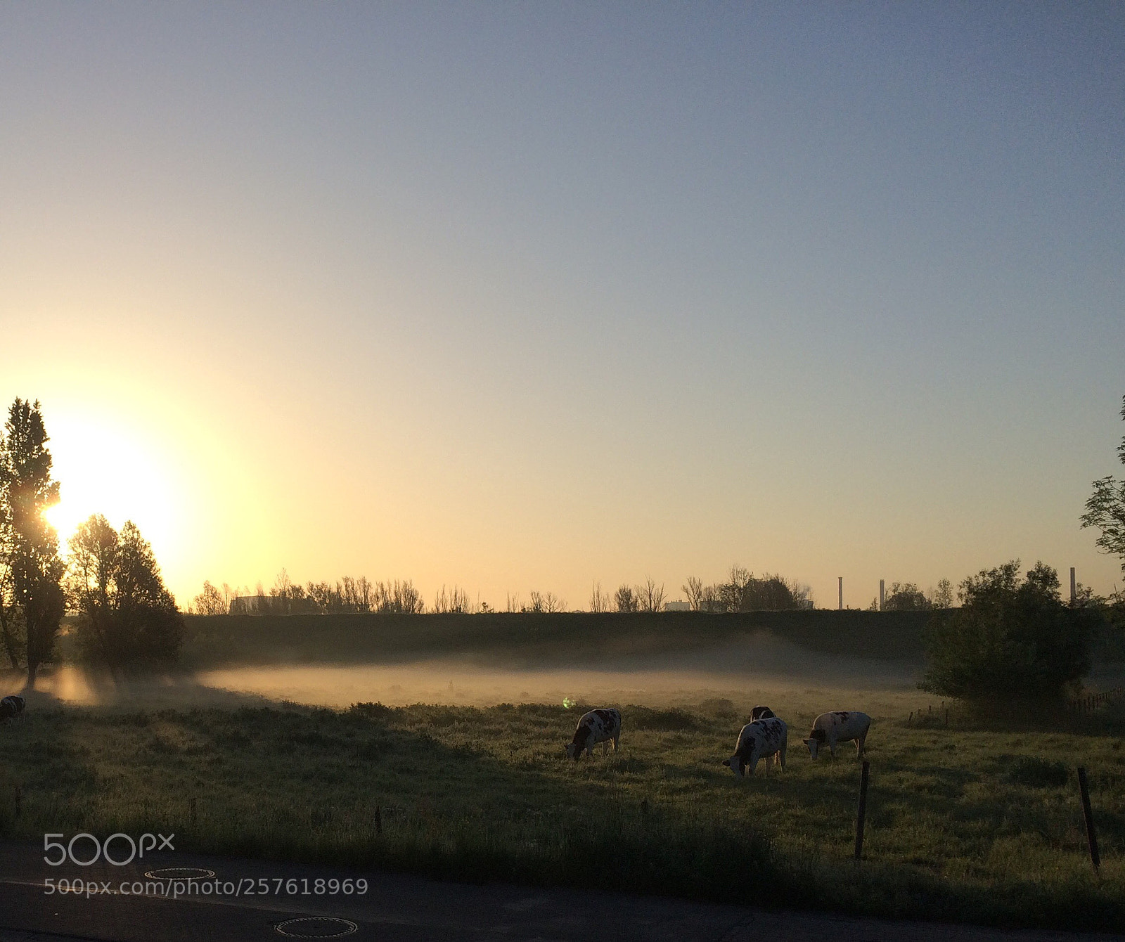 Apple iPhone 5s sample photo. Untitled photography