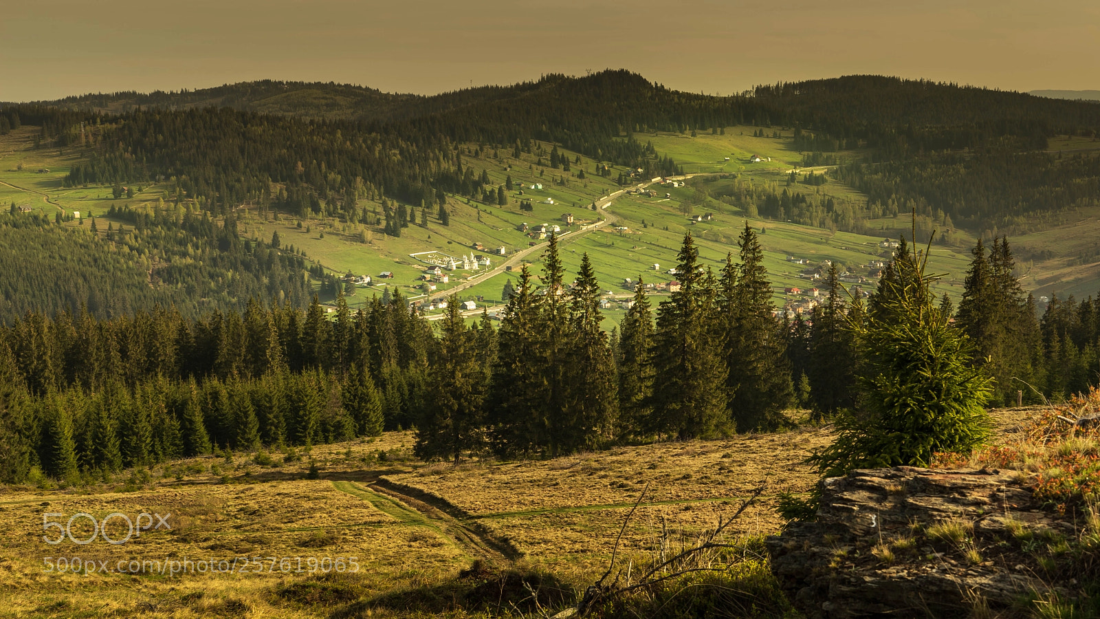 Sony a7 II sample photo. The road to heaven photography