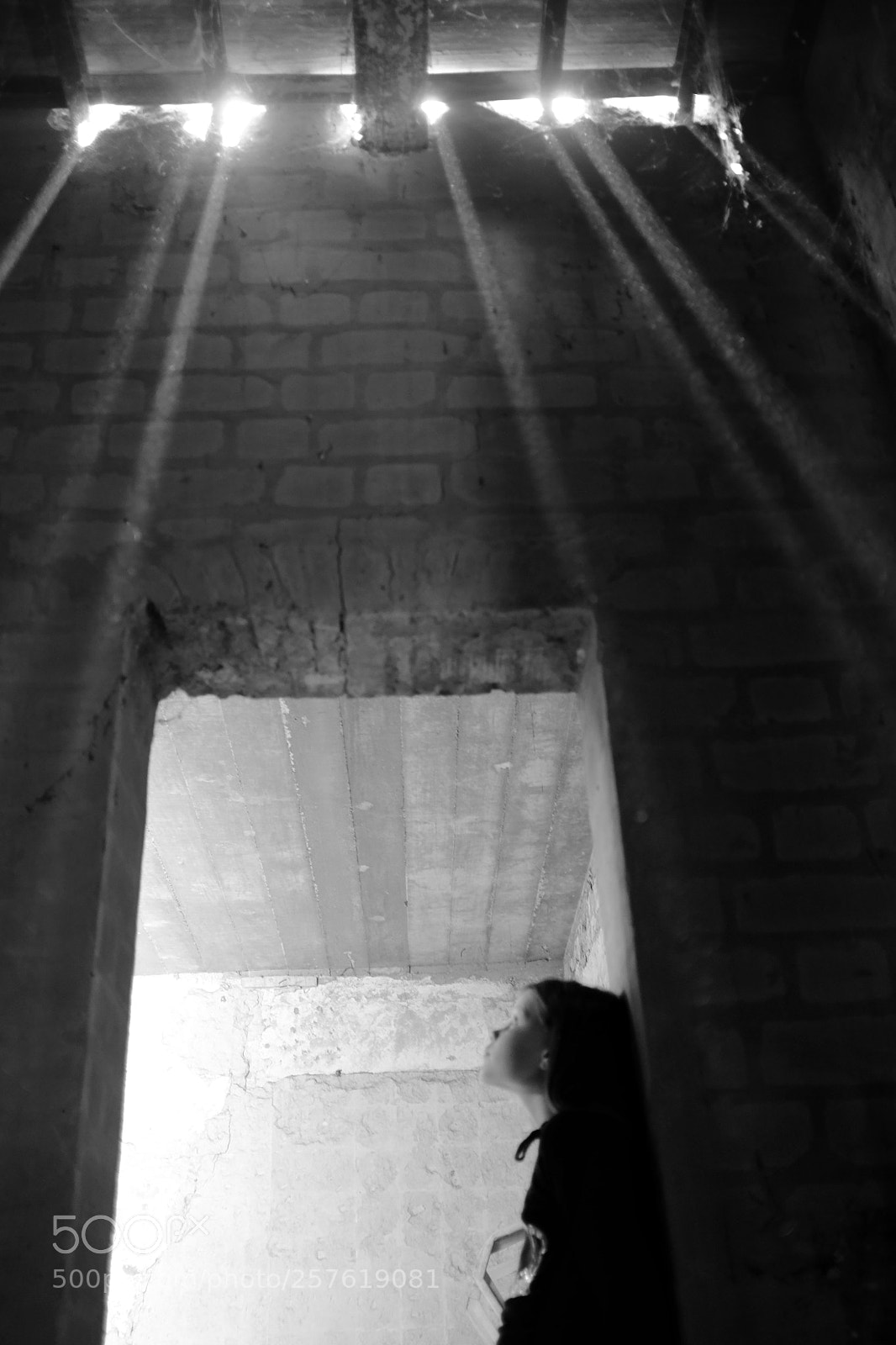 Fujifilm X100S sample photo. Untitled photography