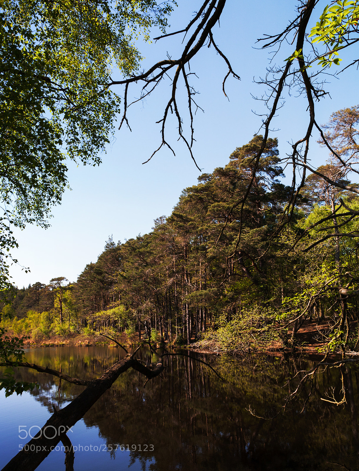 Canon EOS 5D sample photo. Mill pond 3 photography