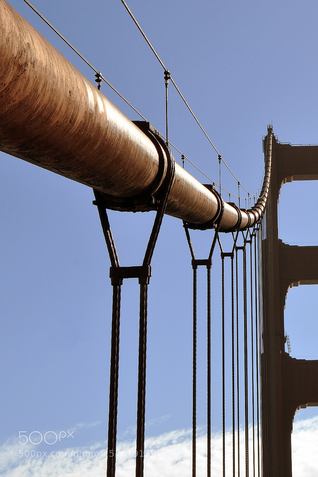 Nikon D90 sample photo. Strength in numbers photography