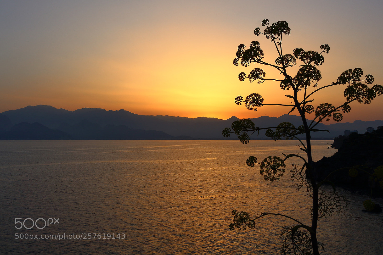 Canon EOS 700D (EOS Rebel T5i / EOS Kiss X7i) sample photo. Sunset photography