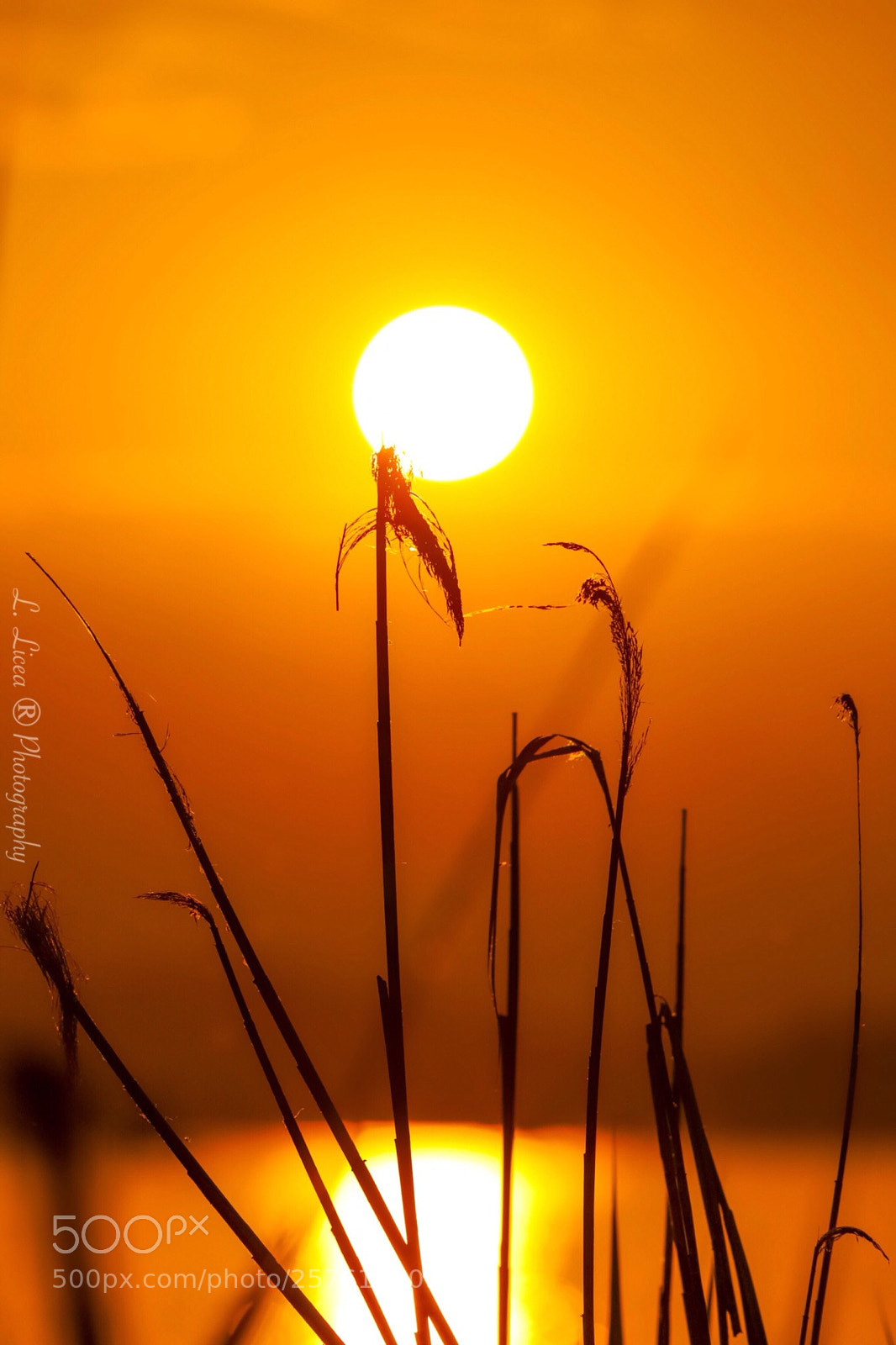 Canon EOS 6D Mark II sample photo. Caress of light 58 photography