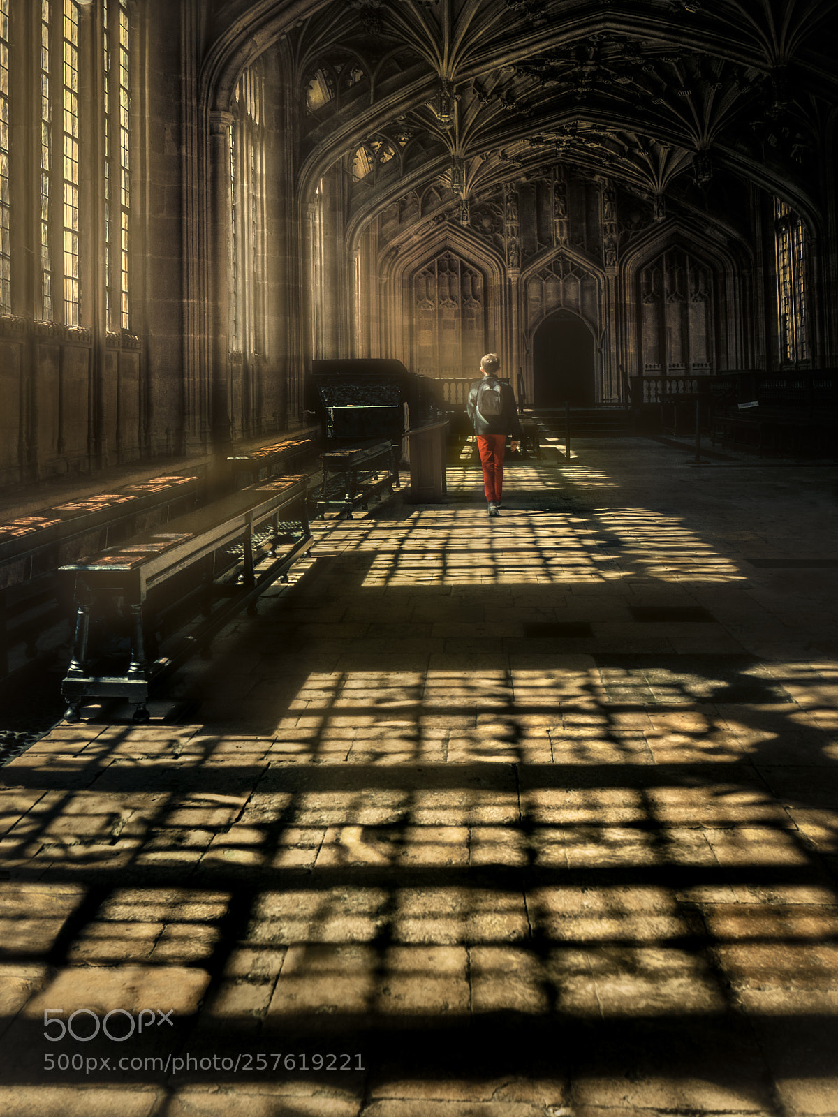 Fujifilm X-T20 sample photo. Divinity school photography