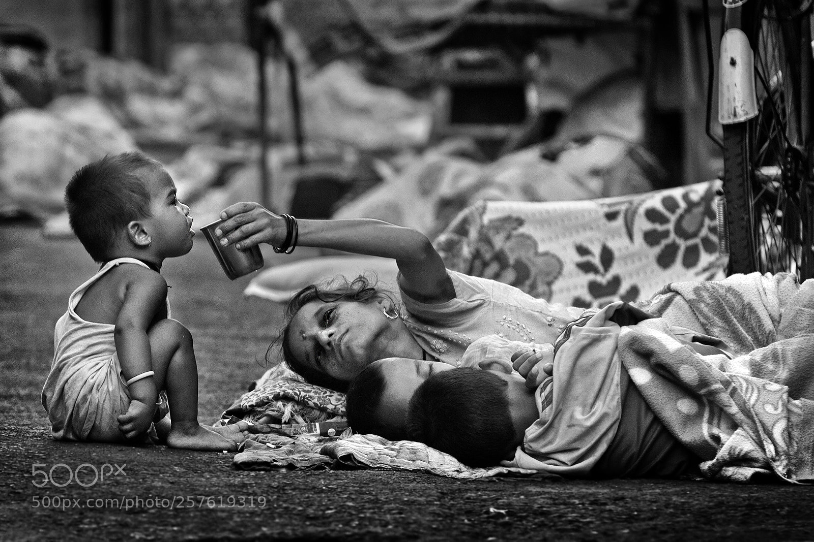 Canon EOS 7D sample photo. Hard life photography