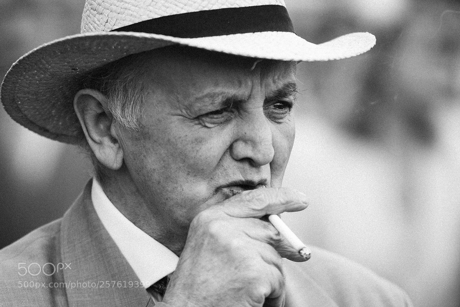 Nikon D810 sample photo. Horse racing punter photography