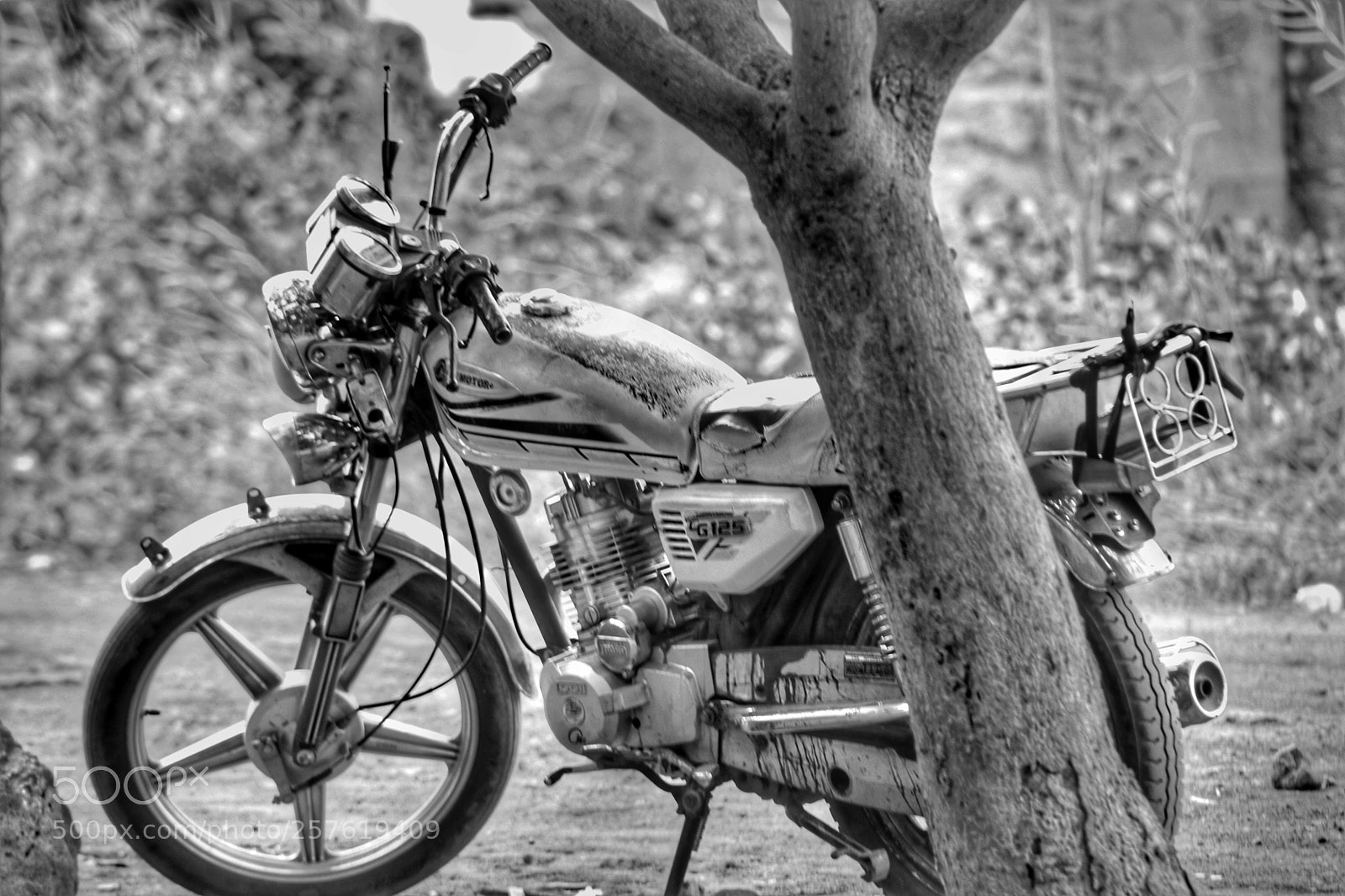 Canon EOS 750D (EOS Rebel T6i / EOS Kiss X8i) sample photo. A lonely bike photography