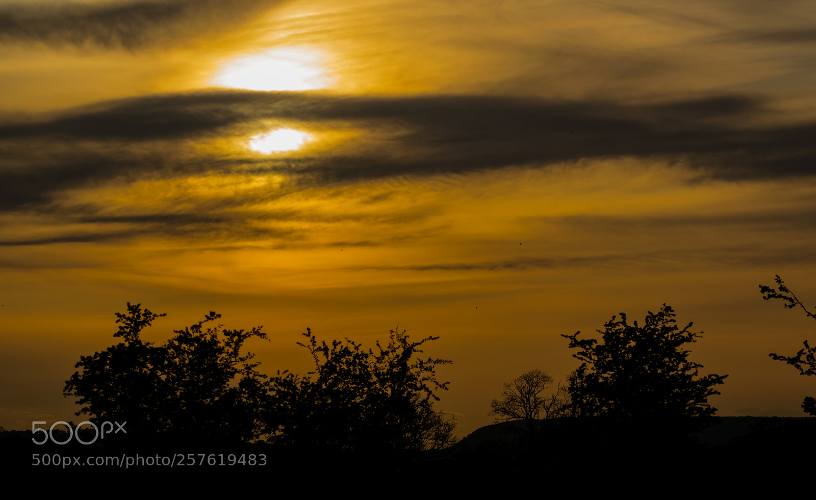 Nikon D3300 sample photo. Dusk in eden photography
