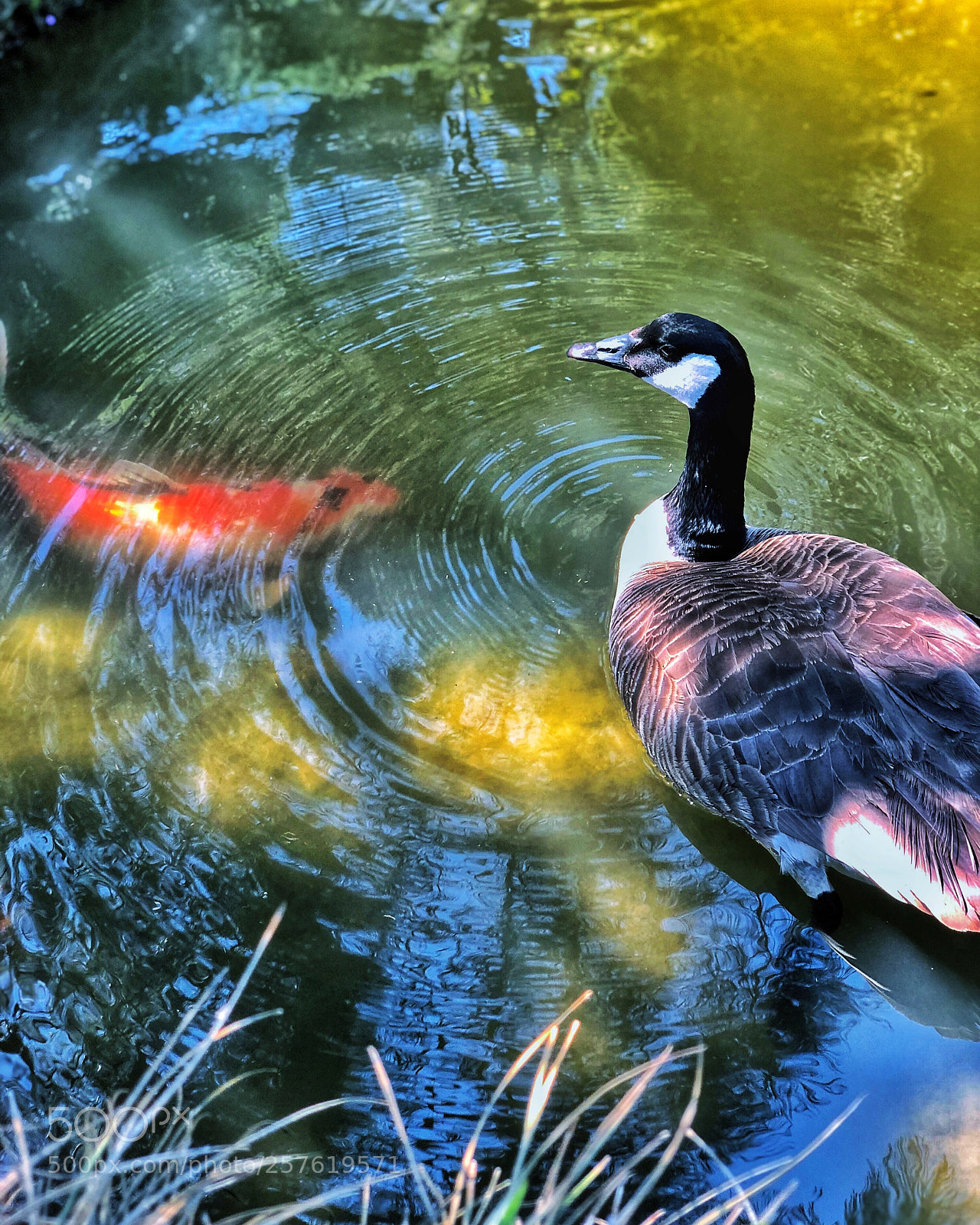 Apple iPhone X sample photo. Friends ... photography