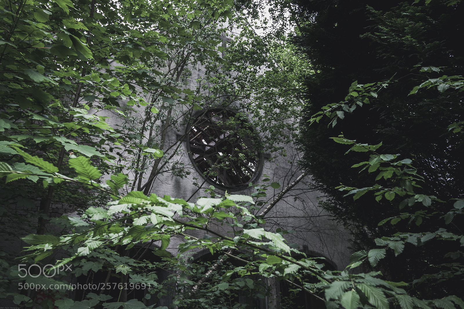 Canon EOS 50D sample photo. | shattered faith | photography
