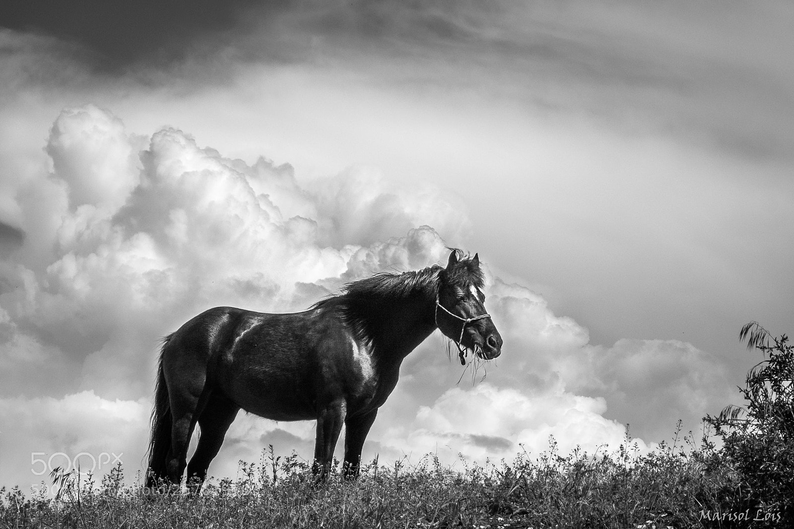 Fujifilm X-E2 sample photo. Dans les alpes-de-haute-provence photography
