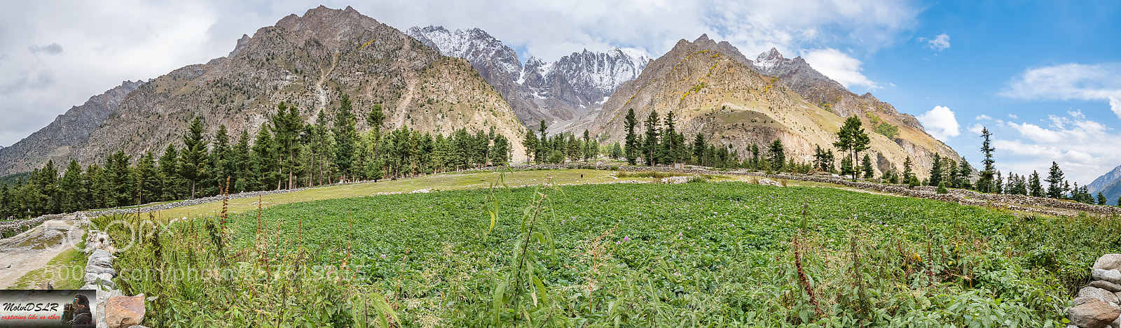 Nikon D5500 sample photo. Naltar valley photography