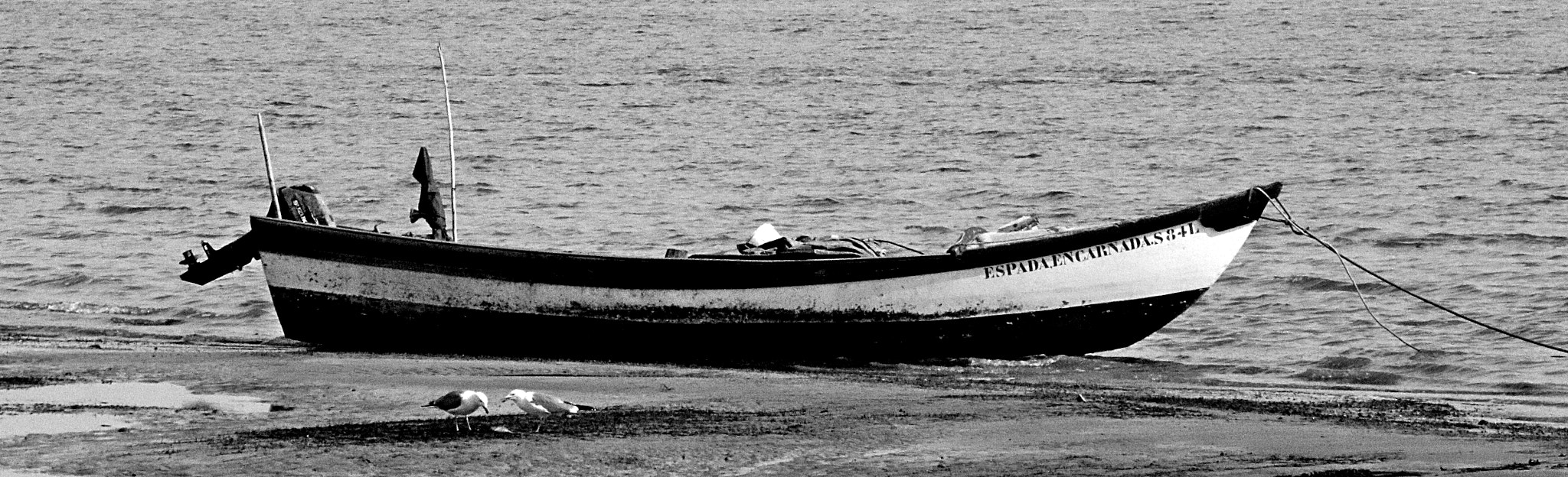 Canon EOS 70D sample photo. Barco photography