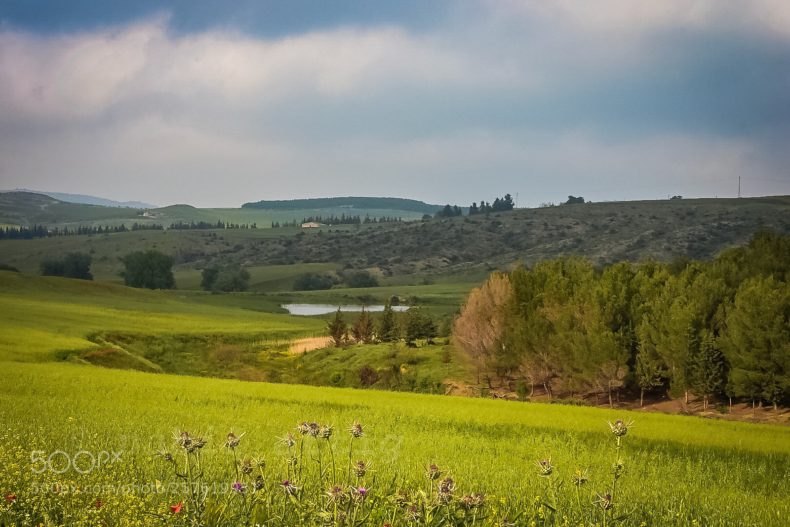 Nikon D7200 sample photo. A landscape in spring photography
