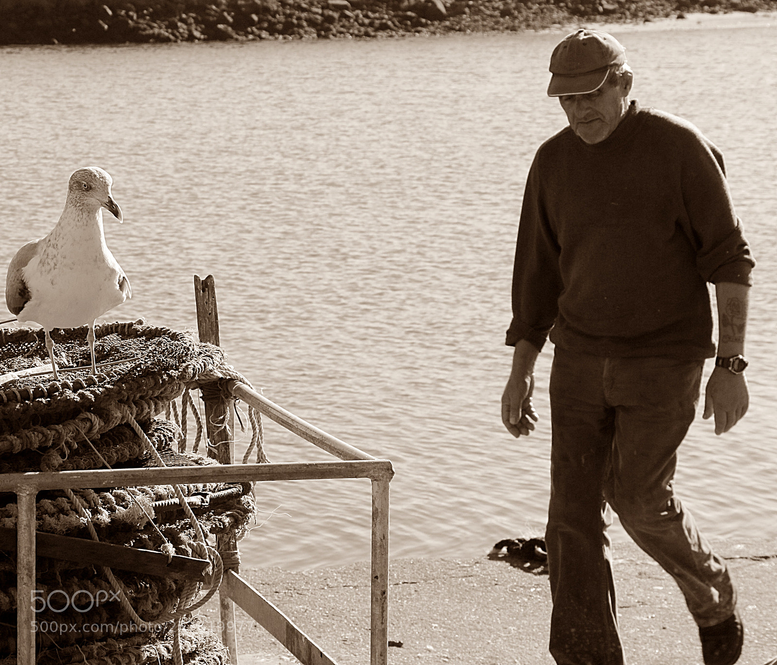 Canon EOS 70D sample photo. Pescador photography