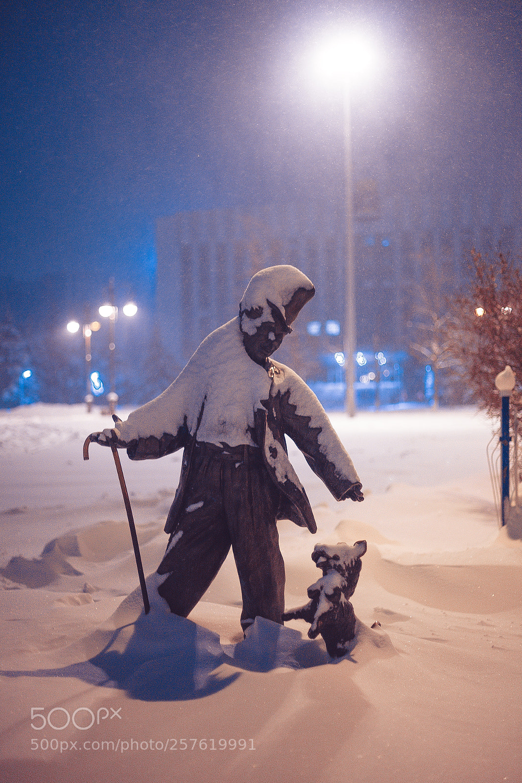 Canon EOS 5D Mark II sample photo. Under the snow photography