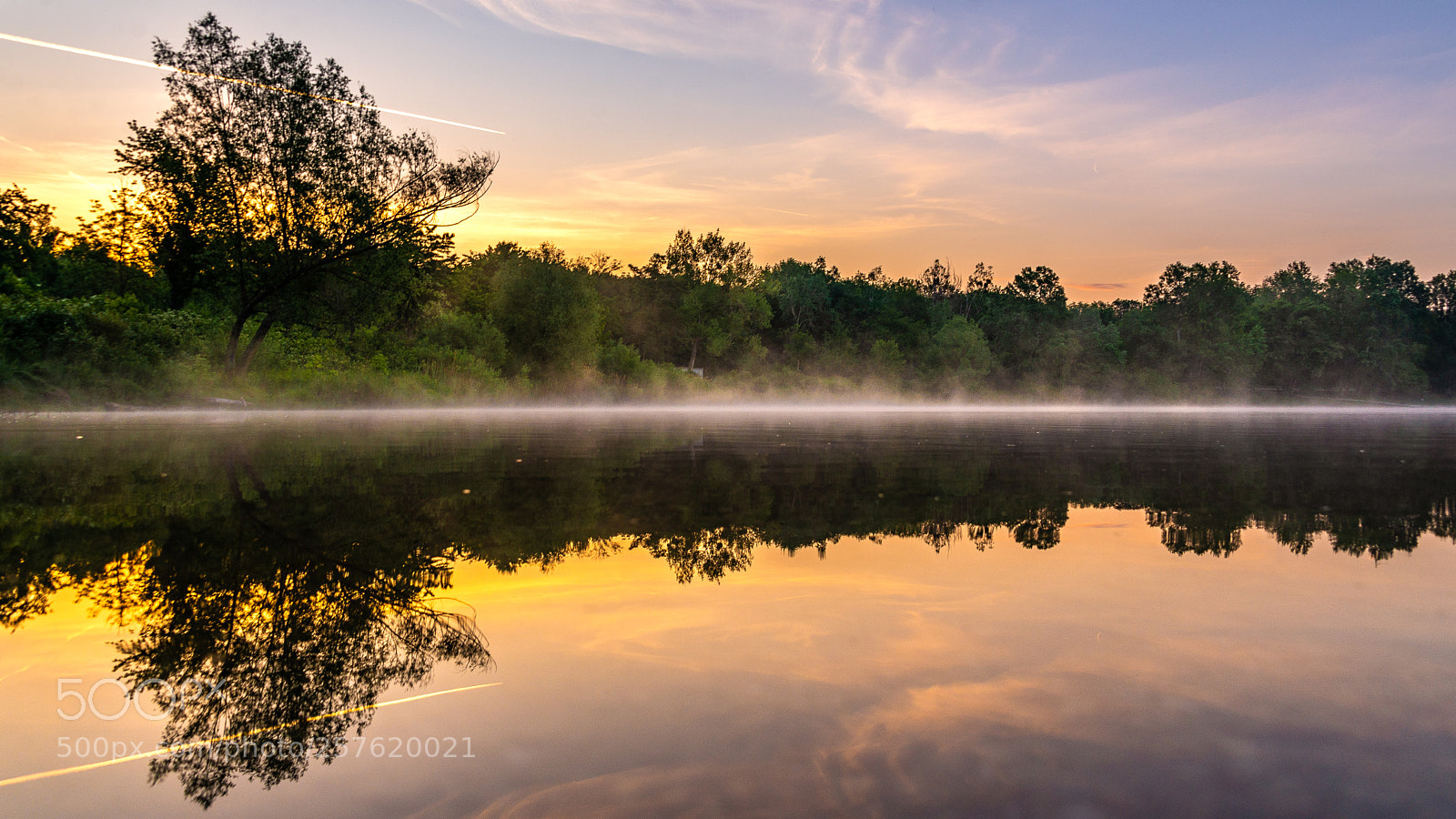 Nikon D610 sample photo. Morning nature photography