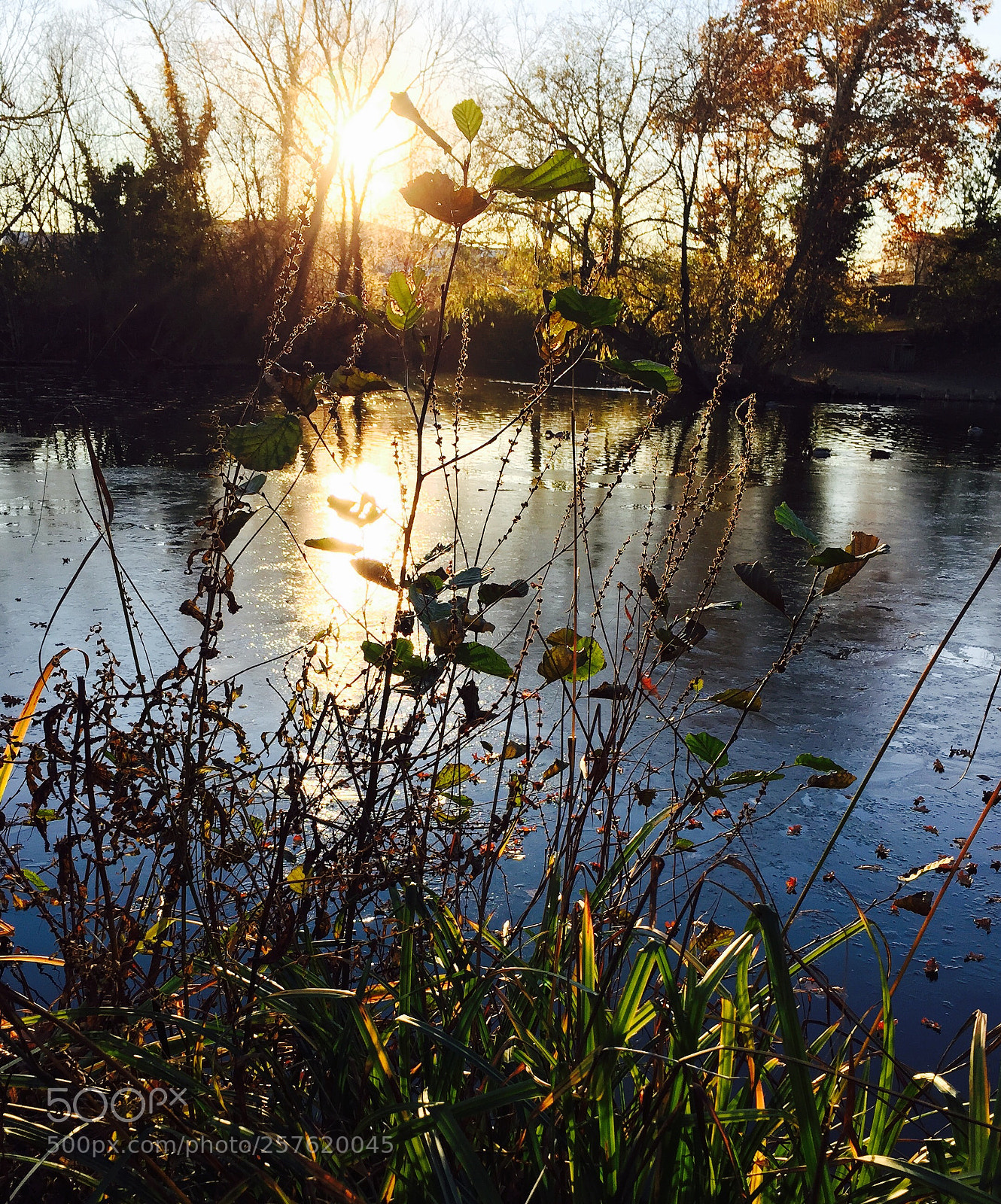 Apple iPhone 6 sample photo. Moat pond 1 photography