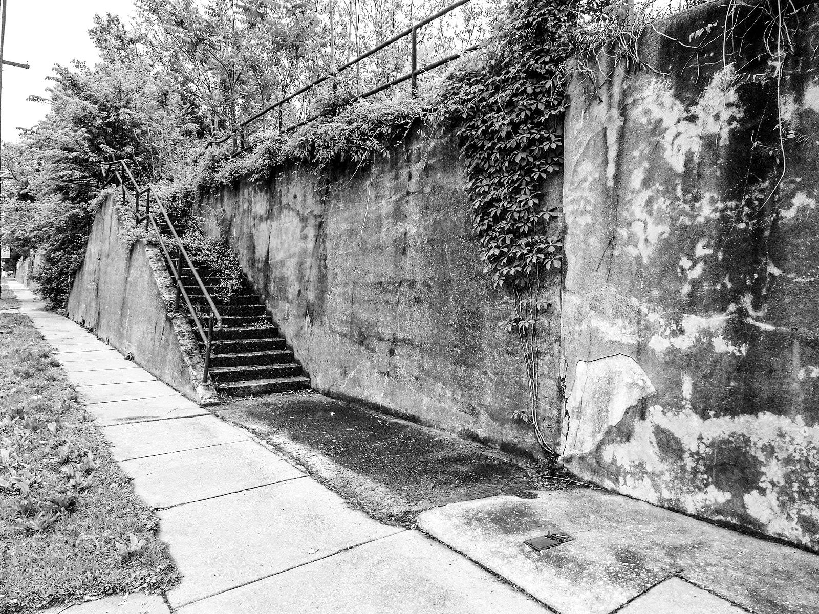 Sony Cyber-shot DSC-HX90V sample photo. Overgrowth photography