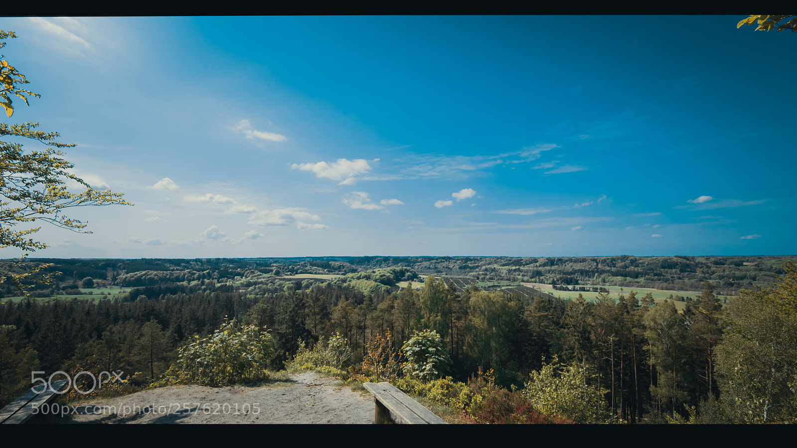 Nikon D750 sample photo. Frederik vii høj photography