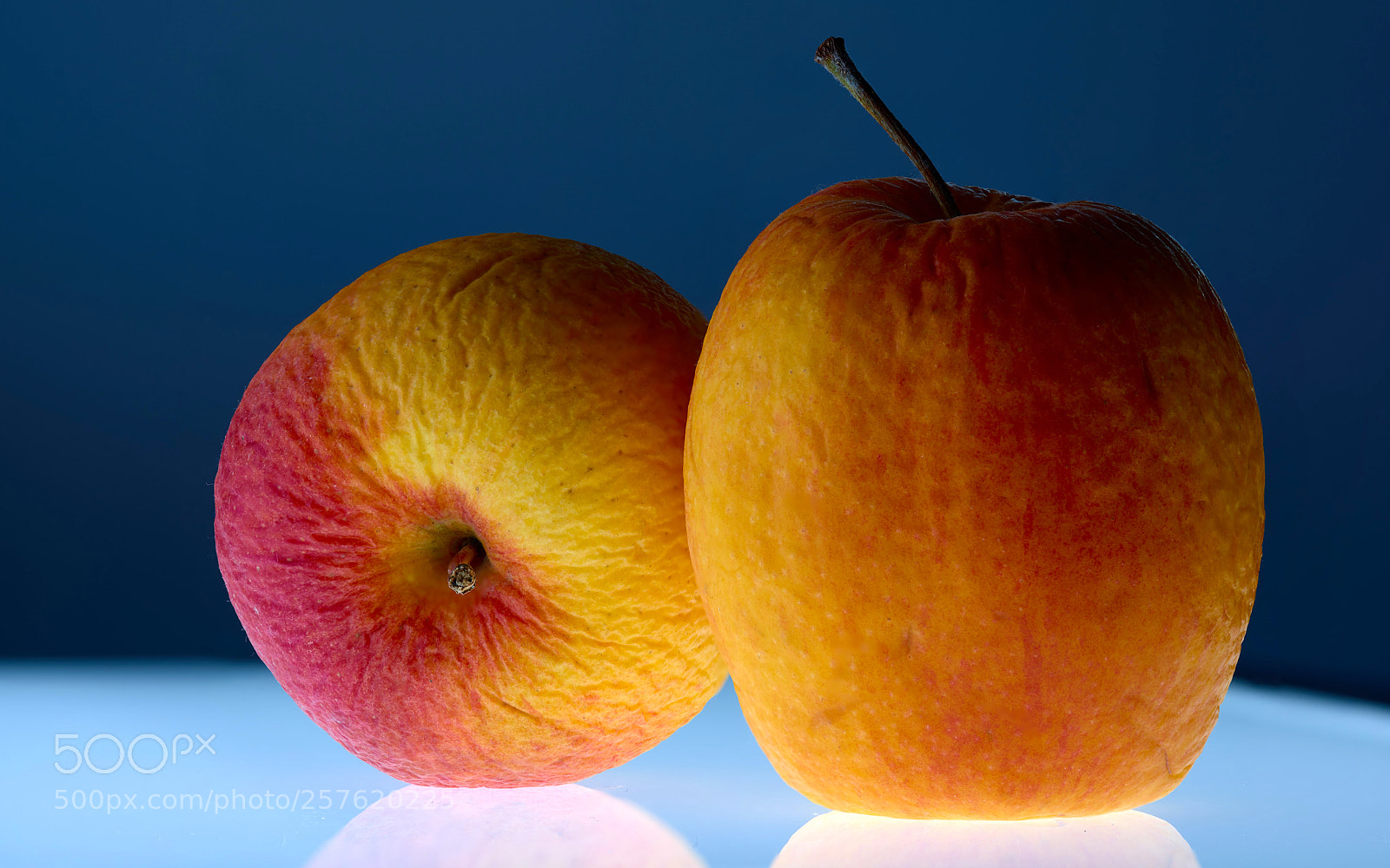 Nikon D810 sample photo. Apple_21 photography