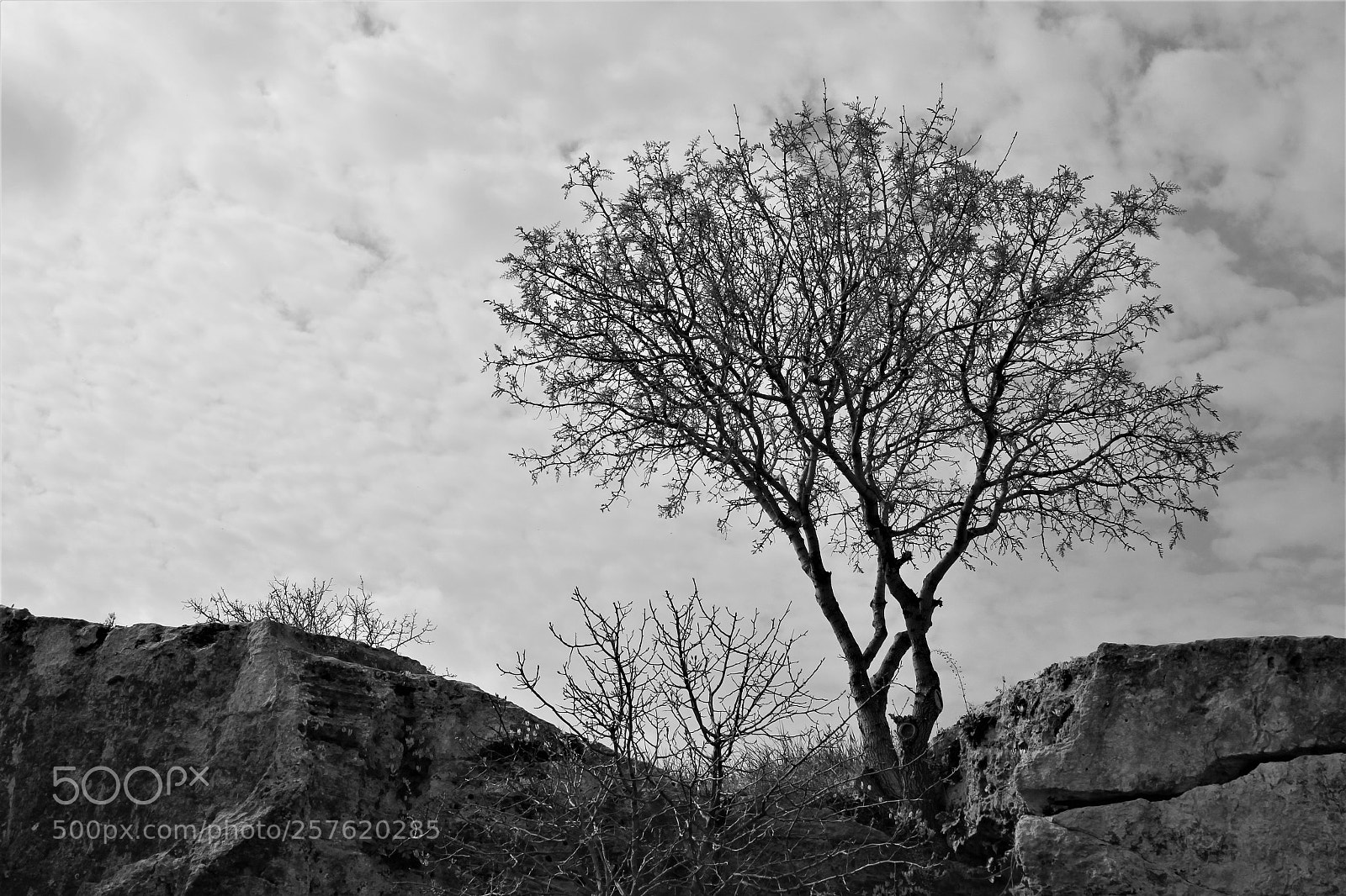 Canon EOS 550D (EOS Rebel T2i / EOS Kiss X4) sample photo. Paphos, cyprus photography