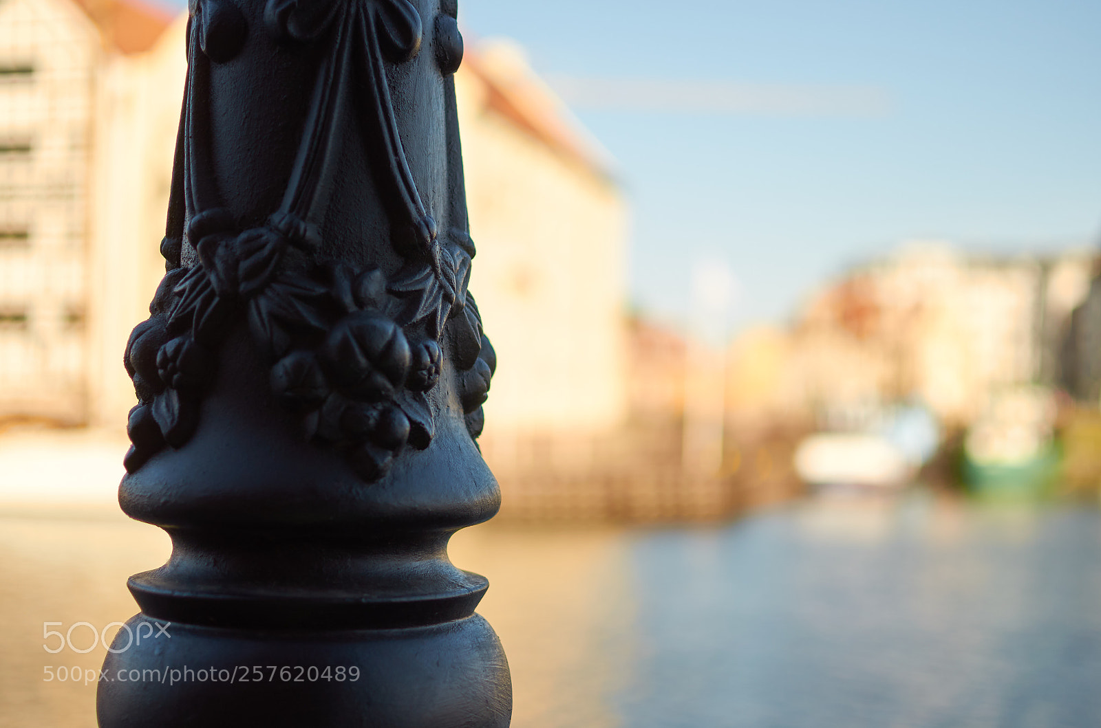 Nikon D5100 sample photo. Inne photography