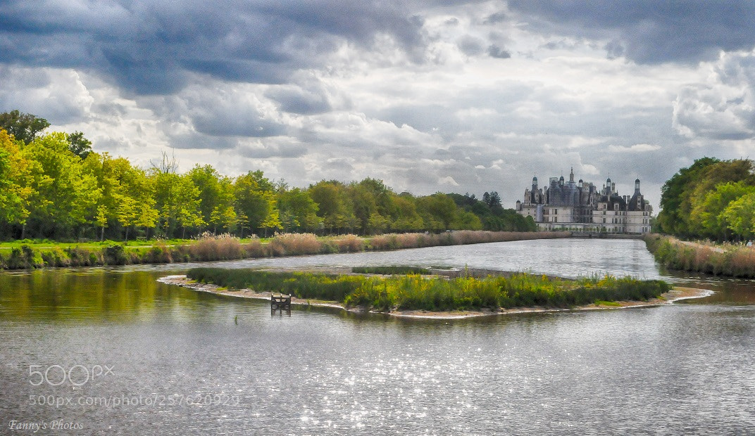 Nikon D300S sample photo. Chambord 3 photography