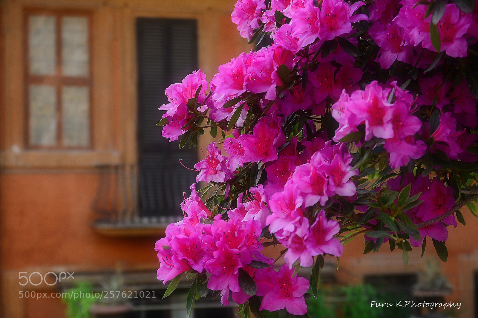 Nikon D7100 sample photo. Colors of rome photography