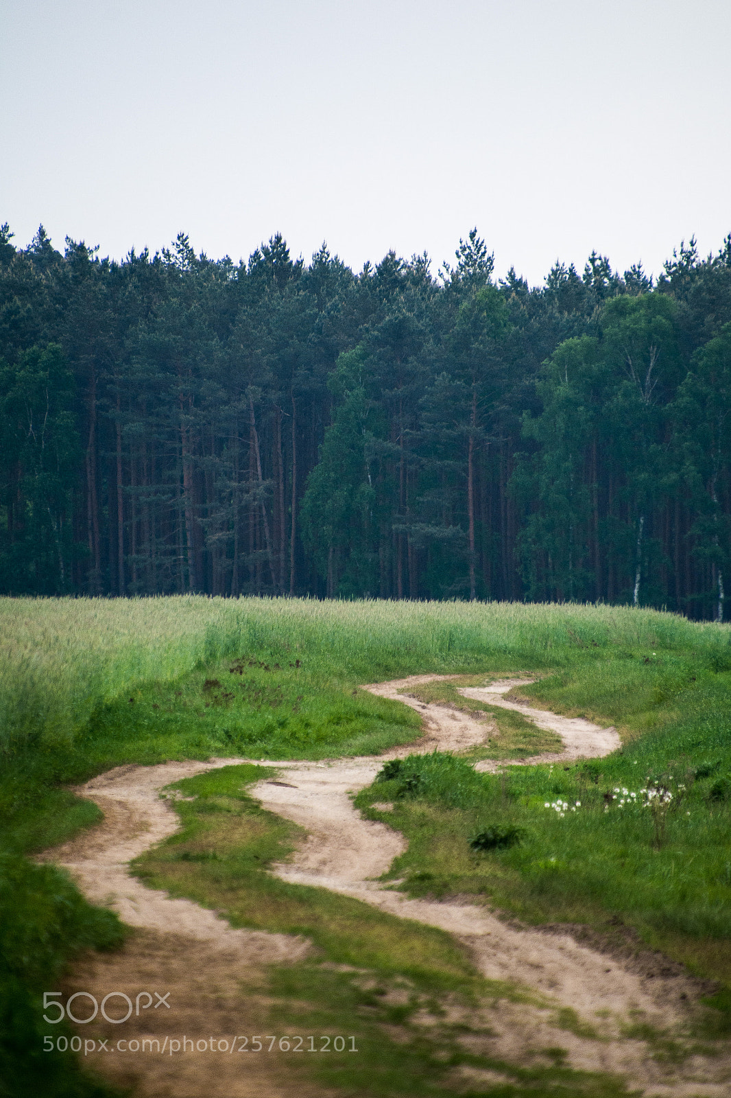 Nikon D7100 sample photo. Far away 12.5.2018 photography