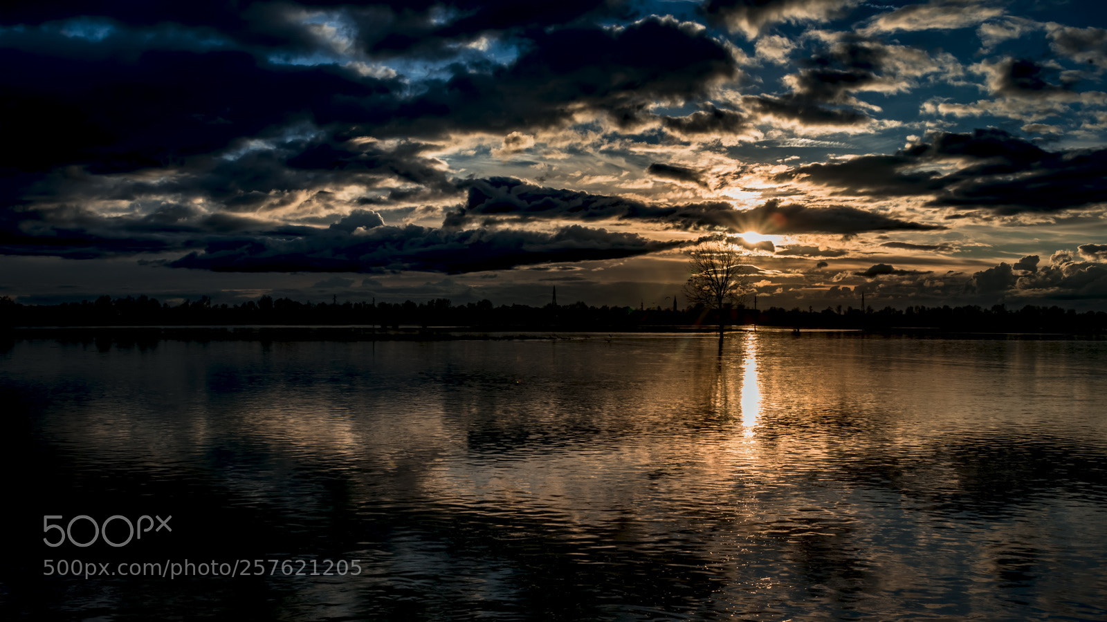 Nikon D800E sample photo. Flood photography
