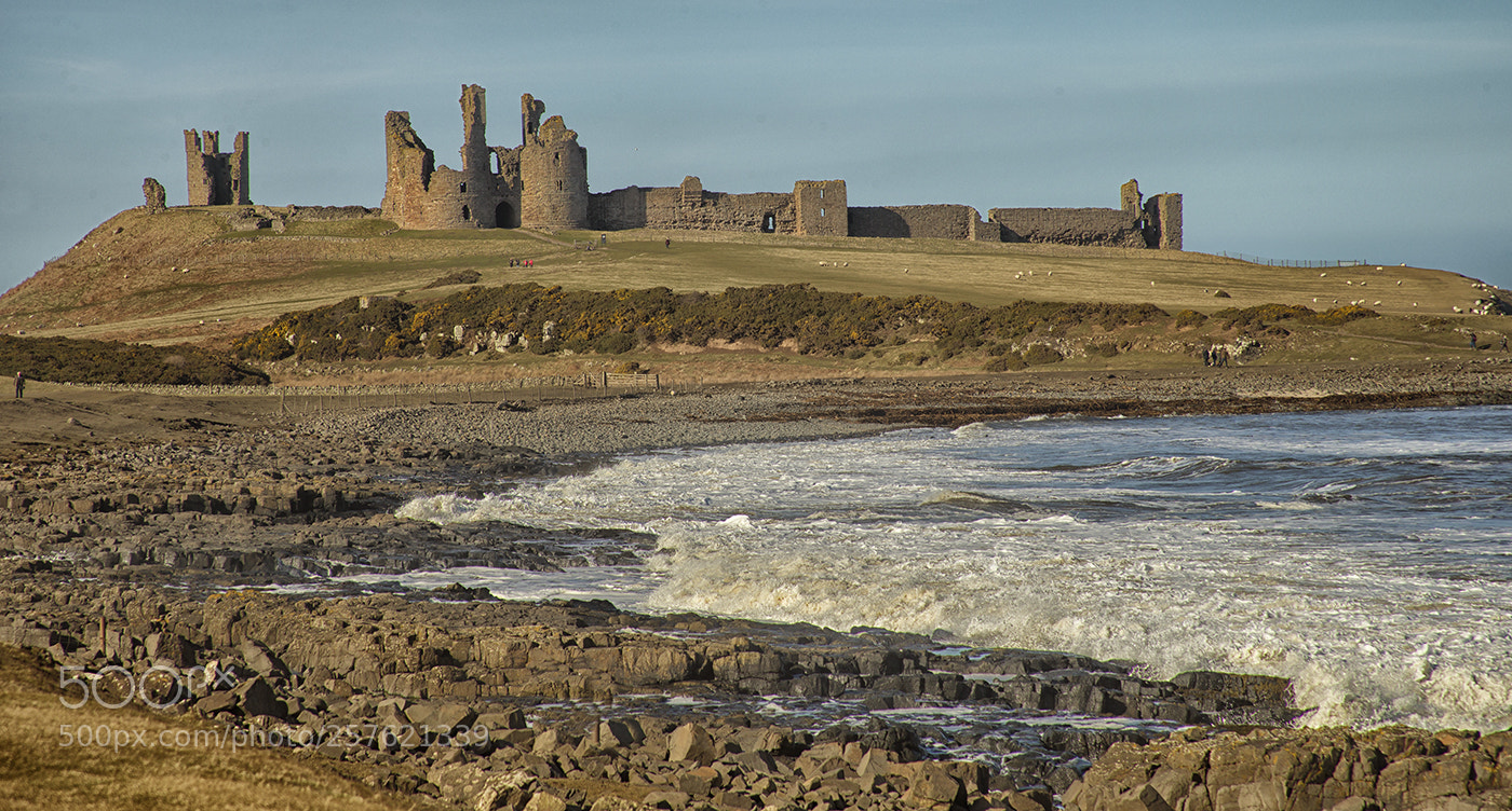 Canon EOS-1D X sample photo. View towards bamburgh castle photography