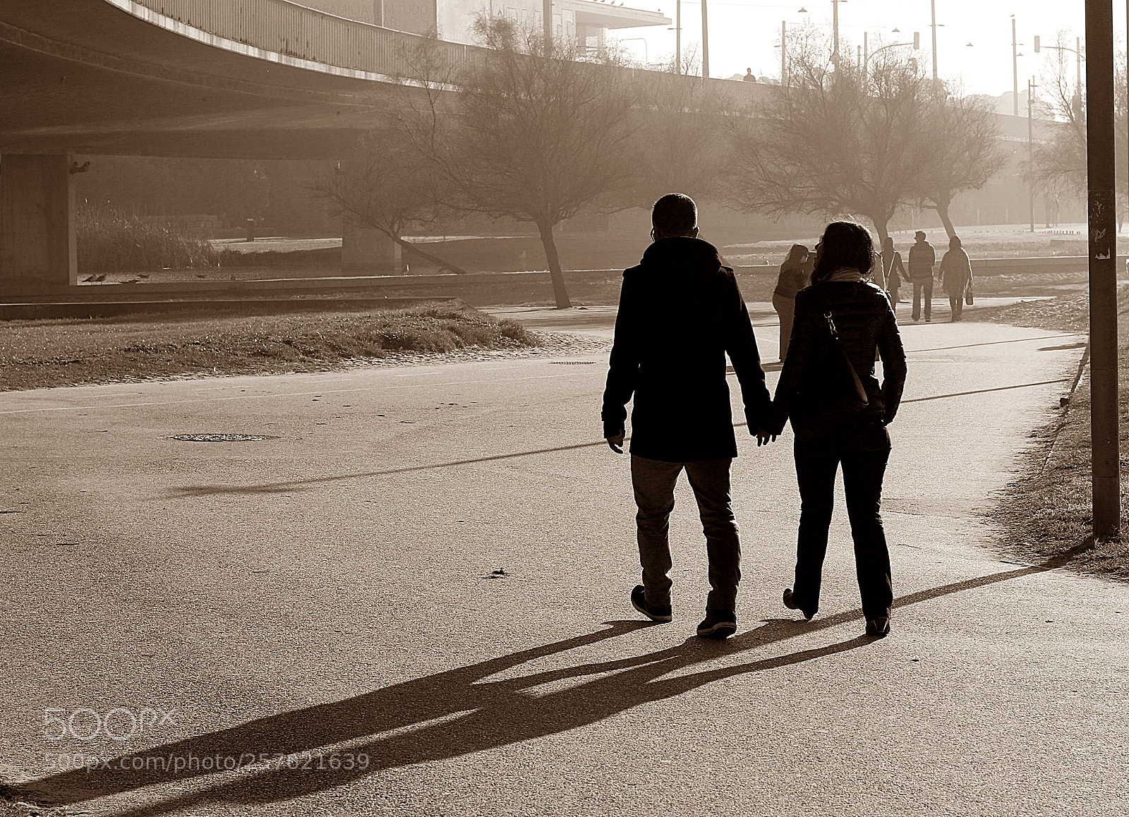 Canon EOS 70D sample photo. Par photography
