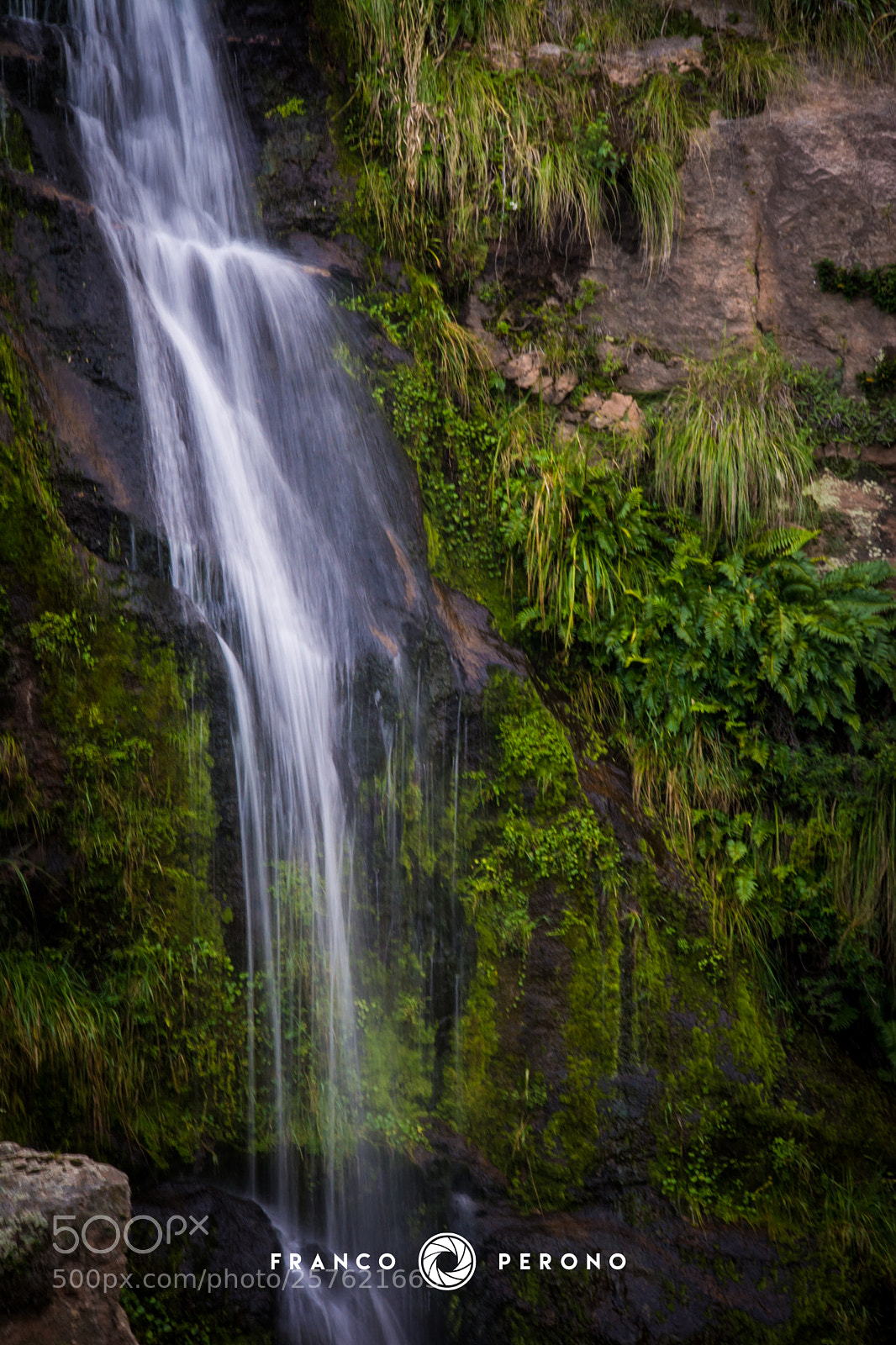 Nikon D7100 sample photo. Carlos paz photography
