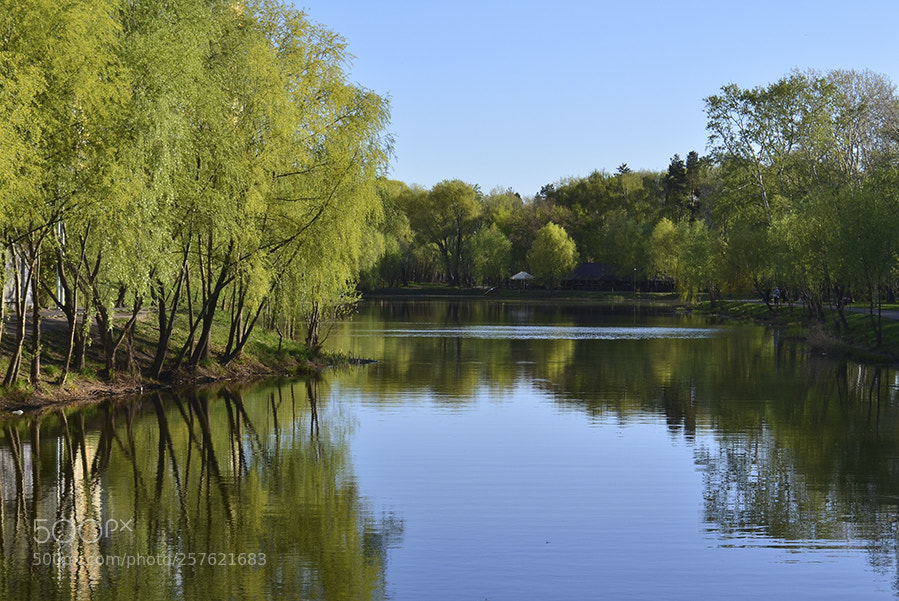 Nikon D5100 sample photo. Clean ponds photography